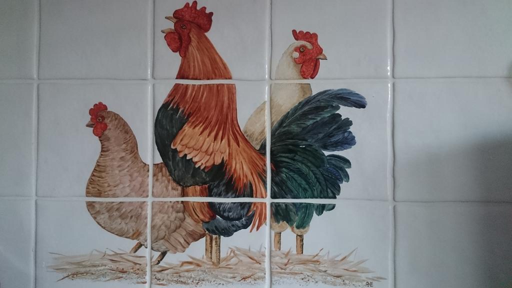 Stuifzand Stal Zwartschaap 아파트 객실 사진
